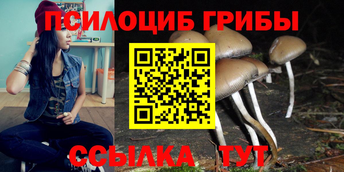 Галлюциногенные грибы Psilocybe Лыткарино