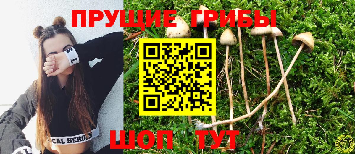 Галлюциногенные грибы Cubensis  Вход с VPN  Лыткарино 